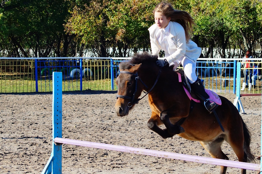 "Княжий Двір",м.Кропивницький