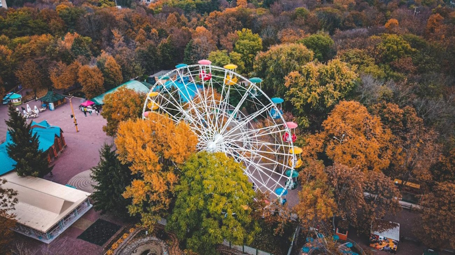 Дендропарк Кропивницький