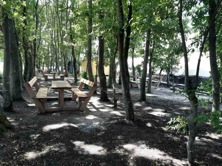 База відпочинку "Дубки" Кропивницьком