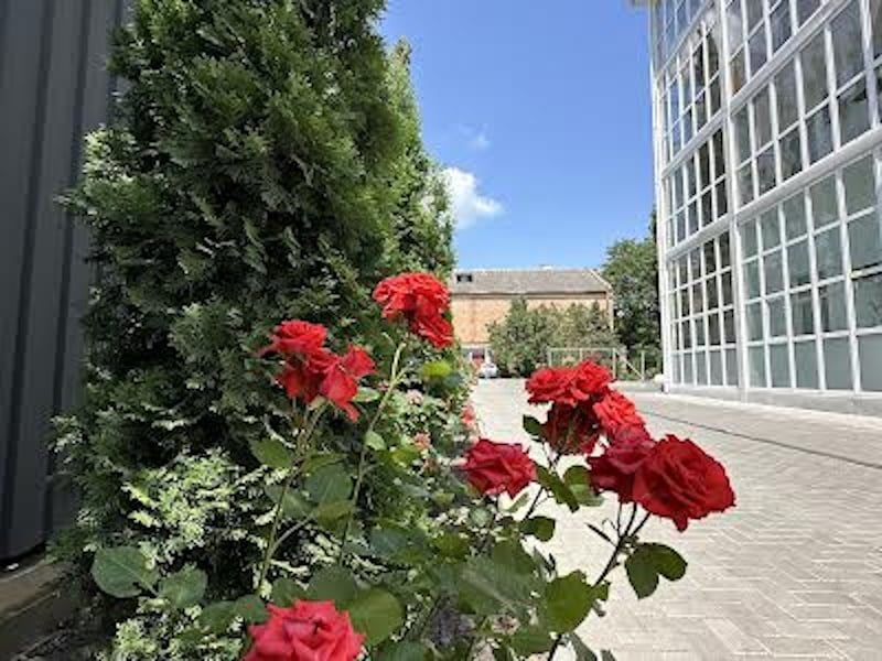 Фортечний район