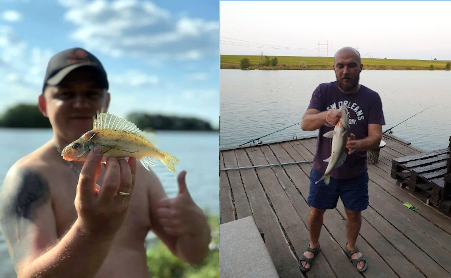 База відпочинку "Дубки" Кропивницьком