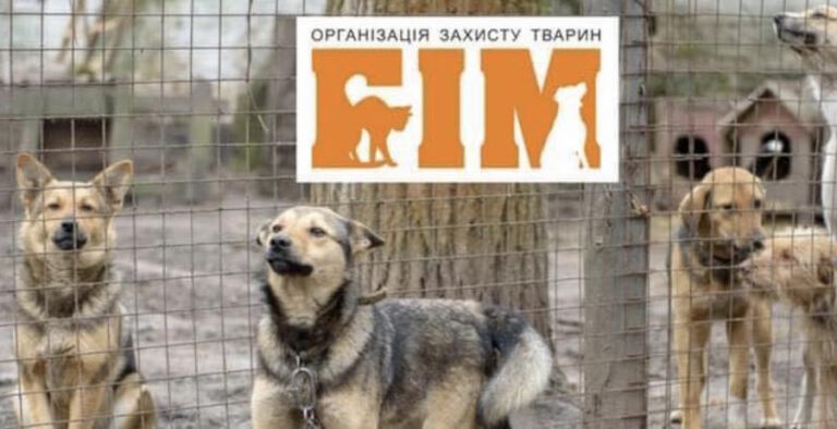 БИМ Кропивницкий