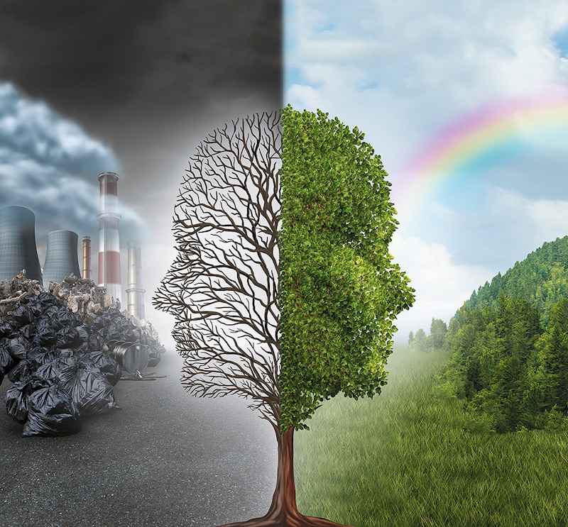 На Кіровоградщині молочний завод зливав відходи і забруднював довкілля