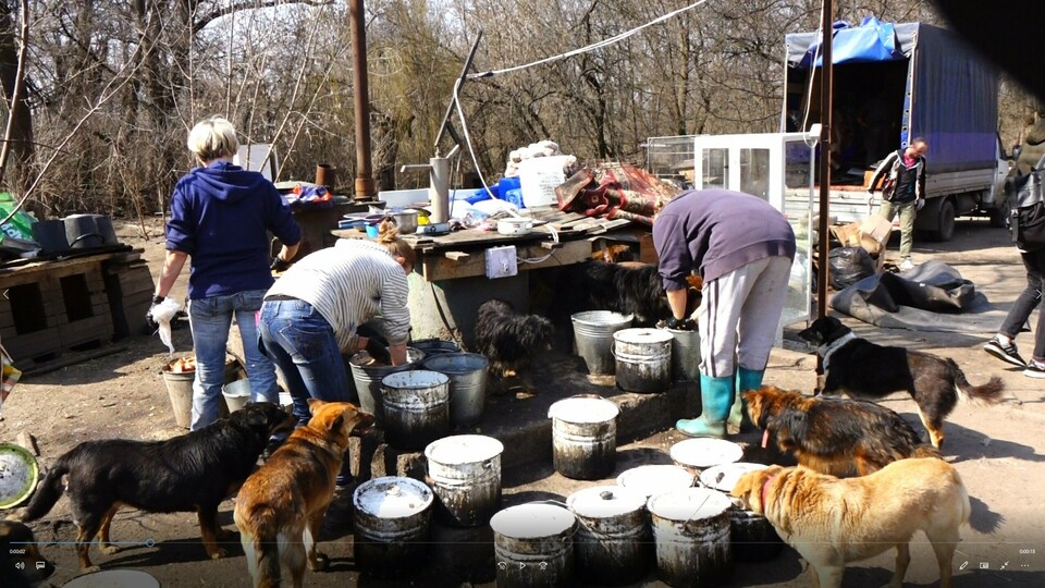 БИМ Кропивницкий