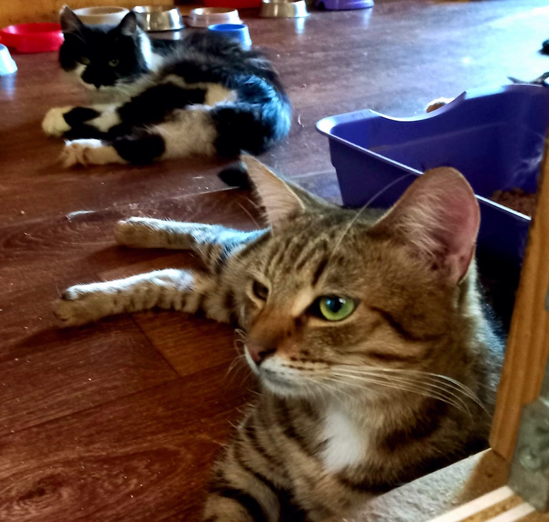 БИМ Кропивницкий