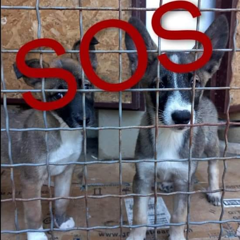 БИМ Кропивницкий