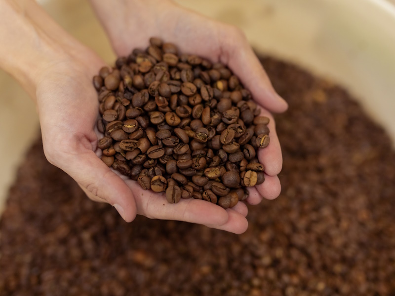 Навігатор по світу кавових зерен