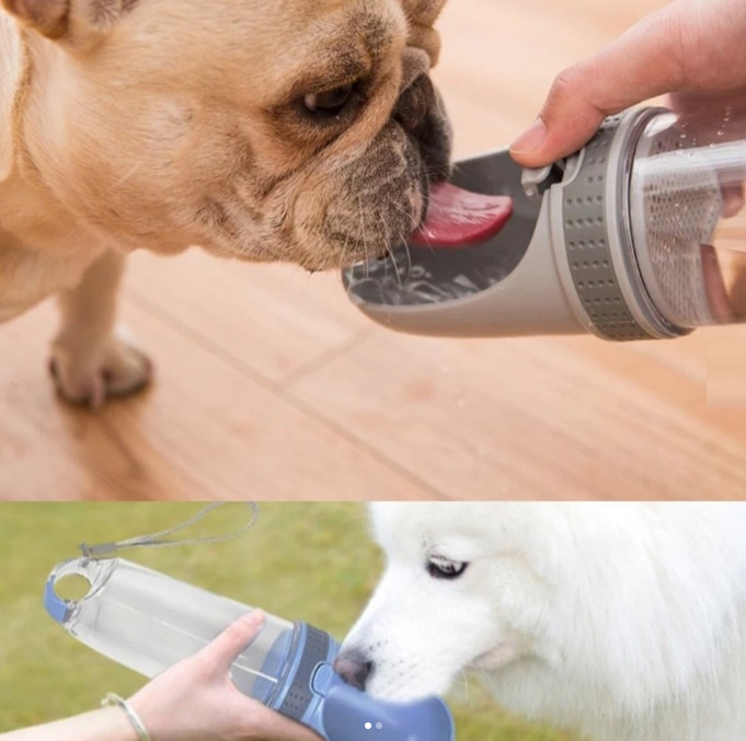 Магазин для тварин Обжора — усе для ваших улюбленців