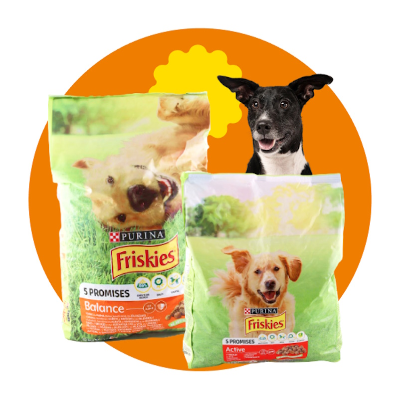 Як купувати корм для тварин недорого та без втрати якості: 5 лайфхаків для господарів