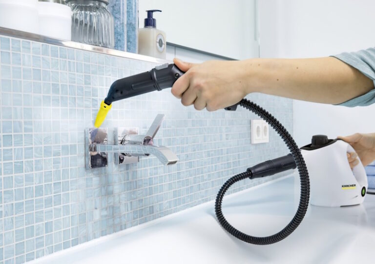 Пароочисник