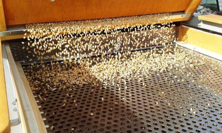 Обладнання для очищення зерна