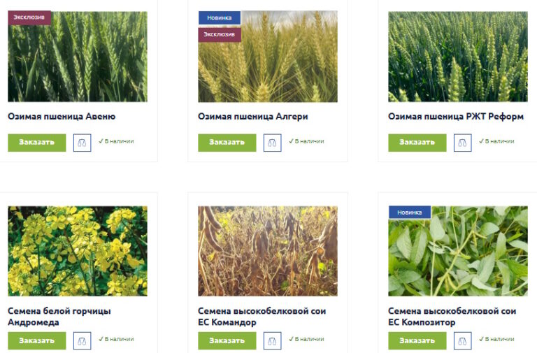 Посевные семена оптом