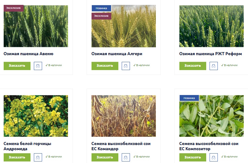 Посевные семена оптом