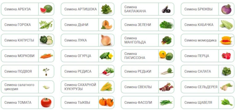 Огород овощей