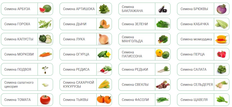 Огород овощей: витамины с мая по октябрь