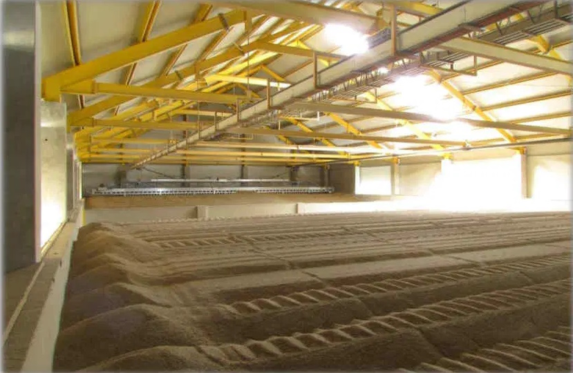 Почему правильная система хранения зерна влияет на прибыль не меньше, чем урожайность